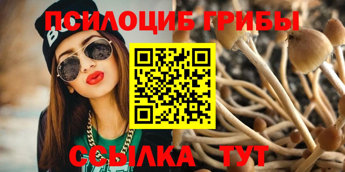 Псилоцибиновые грибы мицелий Рыбинск